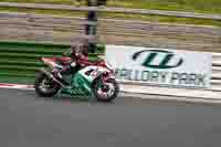 Lower Group Red Bikes